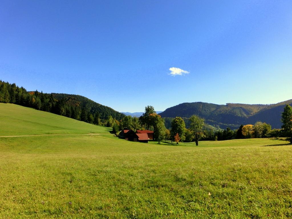 Gaestehaus Forstner Loich 외부 사진